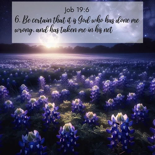 BasicEnglish Job  ; image nature: image with the bible verse :Be certain that it is God who has done me wrong, and has taken me in his net. ; Discover a gallery of Bible verse images showcasing the beauty of autumn, with golden leaves, red forests, and peaceful fields bathed in soft light. These soothing scenes are perfect for accompanying inspiring verses like KJV Job 19:6. Current verse is overlayed with the thematic nature scene : Moonlight illuminates a field of bluebonnets. A warm breeze carries their sweet fragrance across the prairie. ; 19:6