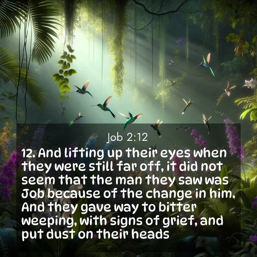 BBE Job 2:12 overlaying nature image scene: Wild orchids bloom in a rainforest canopy. Hummingbirds dart between the delicate flowers.;12. And lifting up their eyes when they were still far off, it did not seem that the man they saw was Job because of the change in him. And they gave way to bitter weeping, with signs of grief, and put dust on their heads.