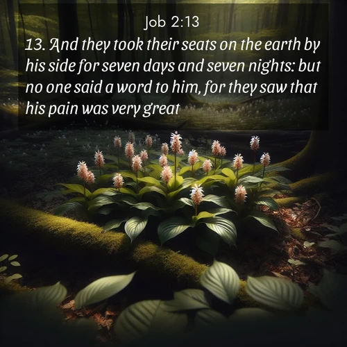 BBE Job 2:13 overlaying nature image scene: Wild ginger blooms hidden in forest shadows. Filtered sunlight reveals their secret beauty.;13. And they took their seats on the earth by his side for seven days and seven nights: but no one said a word to him, for they saw that his pain was very great.