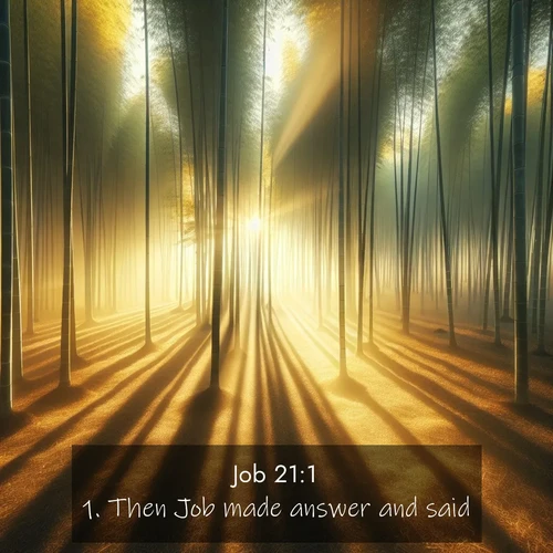 BBE Job 21:1 overlaying nature image scene: Morning mist parts to reveal a pristine bamboo grove. Golden light filters through the stems, casting striped shadows.;1. Then Job made answer and said,