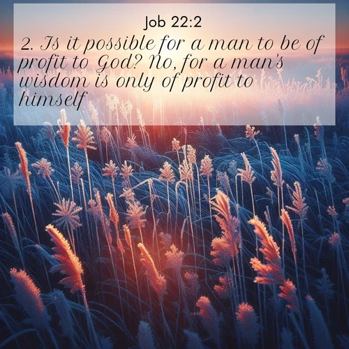 BasicEnglish Job  ; image nature: image with the bible verse :Is it possible for a man to be of profit to God? No, for a man&#039;s wisdom is only of profit to himself. ; Admire Bible verse images illustrated by summer photos, such as sunny beaches, sparkling waves, and swaying palm trees. These bright scenes highlight the joy and warmth of God&#039;s creation. Download and share verses like KJV Job 22:2. Current verse is overlayed with the thematic nature scene : Winter sunrise illuminates frost-covered prairie grass. ; 22:2