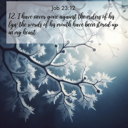 BasicEnglish Job  ; image nature: image with the bible verse :I have never gone against the orders of his lips; the words of his mouth have been stored up in my heart. ; Discover Bible images capturing the splendor of deserts, with golden dunes, vast skies, and peaceful oases. These landscapes highlight the grandeur and serenity of God&#039;s creation. Share verses like KJV Job 23:12. Current verse is overlayed with the thematic nature scene : Winter frost coats bare branches in delicate crystal. ; 23:12