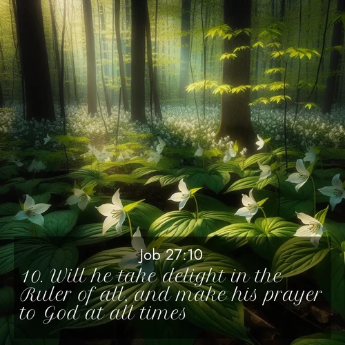 BasicEnglish Job  ; image nature: image with the bible verse :Will he take delight in the Ruler of all, and make his prayer to God at all times? ; Discover a unique collection of Bible verses adorned with winter landscapes, such as snow-covered forests, gently falling snowflakes, and pristine mountains. These images evoke the peace and purity of God&#039;s creation. Share verses like KJV Job 27:10. Current verse is overlayed with the thematic nature scene : Wild trillium carpets the forest floor. Sunlight filters green through new spring leaves. ; 27:10