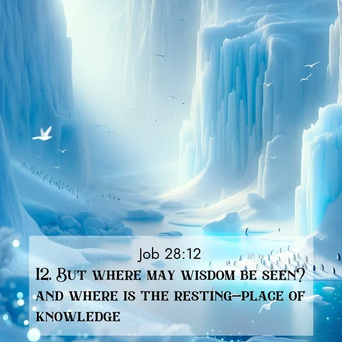 BBE Job 28:12 overlaying nature image scene: Antarctic ice cliffs glow blue in the endless polar day. A penguin colony dots the frozen shore below.;12. But where may wisdom be seen? and where is the resting-place of knowledge?
