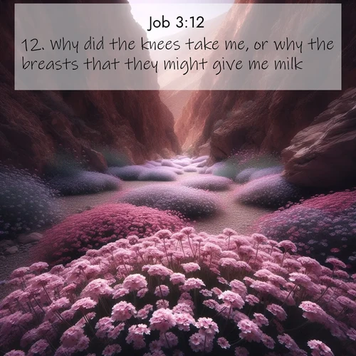 BasicEnglish Job  ; image nature: image with the bible verse :Why did the knees take me, or why the breasts that they might give me milk? ; Dive into our collection of Bible verse images combined with sublime nature photos, such as graceful waterfalls, radiant sunsets, and endless meadows. These compositions highlight the peace and harmony of God&#039;s creation with vivid colors and carefully integrated text. Download and share verses like KJV Job 3:12. Current verse is overlayed with the thematic nature scene : Desert verbena carpets hidden canyons. Flash flood waters carved these gardens. ; 3:12