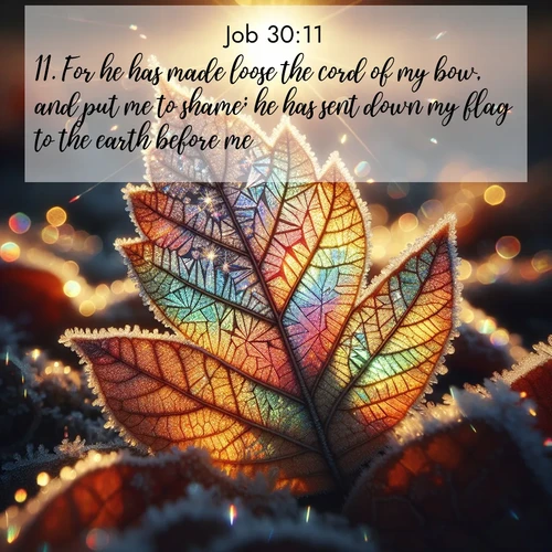 BasicEnglish Job  ; image nature: image with the bible verse :For he has made loose the cord of my bow, and put me to shame; he has sent down my flag to the earth before me. ; Browse a gallery of Bible verses paired with summer scenes, such as golden wheat fields, bright skies, and sunny beaches. These images convey the joy and warmth of God&#039;s creation. Download and share verses like KJV Job 30:11. Current verse is overlayed with the thematic nature scene : Frost crystals form intricate patterns on a fallen leaf. Morning sun transforms them into rainbow prisms. ; 30:11