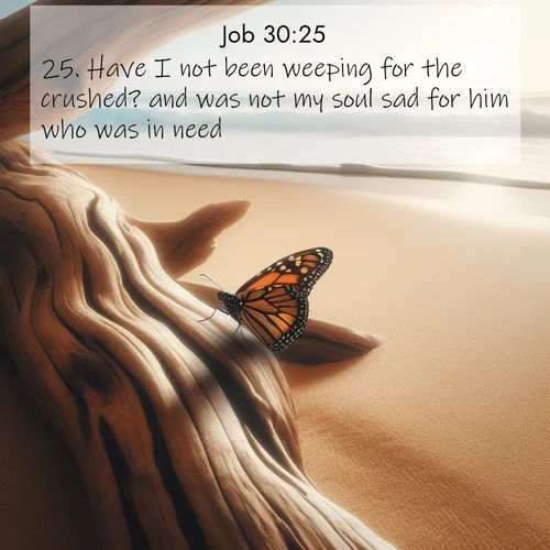 BasicEnglish Job  ; image nature: image with the bible verse :Have I not been weeping for the crushed? and was not my soul sad for him who was in need? ; Download high-resolution Bible verse images showcasing the beauty of God&#039;s creation—from radiant sunsets to tranquil rivers. Free for use as wallpapers or sharing verses like KJV Job 30:25. Current verse is overlayed with the thematic nature scene : A single monarch butterfly alights on a sun-bleached driftwood log. Waves crash endlessly on the empty beach beyond. ; 30:25
