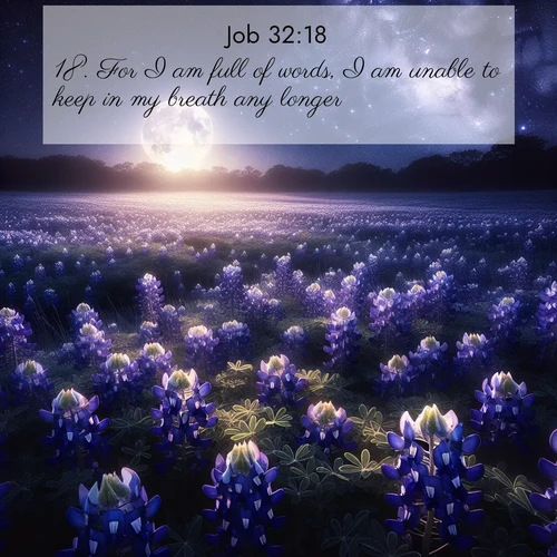 BasicEnglish Job  ; image nature: image with the bible verse :For I am full of words, I am unable to keep in my breath any longer: ; Admire our free collection of Bible verse images with beautiful landscapes like sunlit forests, rippling waters, and radiant dawns. Each verse, such as KJV Job 32:18, is ready to download and share. Current verse is overlayed with the thematic nature scene : Moonlight illuminates a field of bluebonnets. A warm breeze carries their sweet fragrance across the prairie. ; 32:18