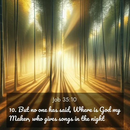 BasicEnglish Job  ; image nature: image with the bible verse :But no one has said, Where is God my Maker, who gives songs in the night; ; Explore a spring collection of Bible images, with landscapes of green hills, wildflowers, and crystal-clear streams. These images symbolize the blossoming of God&#039;s creation. Download verses like KJV Job 35:10. Current verse is overlayed with the thematic nature scene : Morning mist parts to reveal a pristine bamboo grove. Golden light filters through the stems, casting striped shadows. ; 35:10