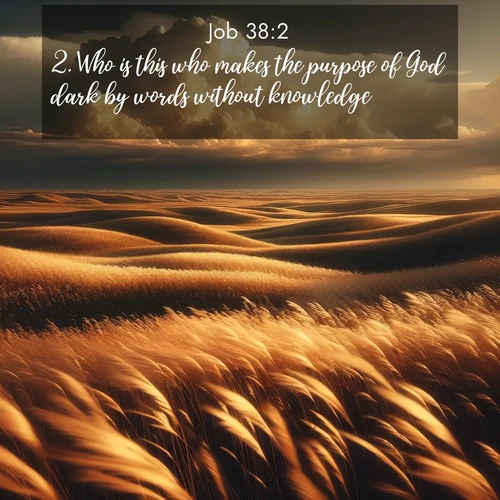BasicEnglish Job  ; image nature: image with the bible verse :Who is this who makes the purpose of God dark by words without knowledge? ; Download inspiring Bible verse images featuring stunning natural vistas, from tropical islands to rolling hills. These free images make perfect wallpapers or gifts. Share verses like KJV Job 38:2. Current verse is overlayed with the thematic nature scene : Prairie grass waves like a golden ocean. Storm clouds build towers on the horizon. ; 38:2