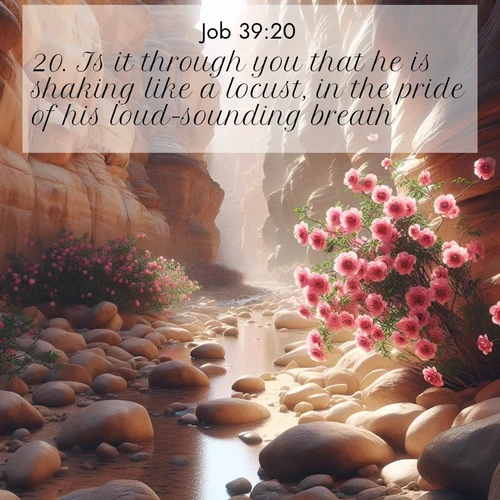BasicEnglish Job  ; image nature: image with the bible verse :Is it through you that he is shaking like a locust, in the pride of his loud-sounding breath? ; Discover Bible verse images capturing the warmth of summer, with beach landscapes, sunlit fields, and clear skies. These bright scenes reflect divine joy. Share verses like KJV Job 39:20. Current verse is overlayed with the thematic nature scene : Desert roses bloom in a hidden canyon after rare rainfall. Their pink petals contrast against weathered sandstone walls. ; 39:20