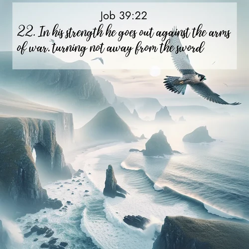 BasicEnglish Job  ; image nature: image with the bible verse :In his strength he goes out against the arms of war, turning not away from the sword. ; Explore Bible verses combined with serene beach photos, desert dunes, and infinite skies, highlighting God&#039;s majesty in every landscape. Download and share inspiring verses like KJV Job 39:22. Current verse is overlayed with the thematic nature scene : A peregrine falcon rides thermal currents above coastal cliffs. Waves crash endlessly against the rocks below. ; 39:22