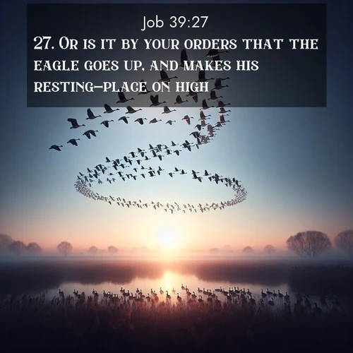BasicEnglish Job  ; image nature: image with the bible verse :Or is it by your orders that the eagle goes up, and makes his resting-place on high? ; Explore our gallery of inspiring Bible verse images showcasing divine beauty through nature. Download scenic images like snowy peaks, lush meadows, or radiant sunsets paired with verses like KJV Job 39:27. Current verse is overlayed with the thematic nature scene : Wild geese arrow through dawn sky. Their calls wake sleeping marshes. ; 39:27