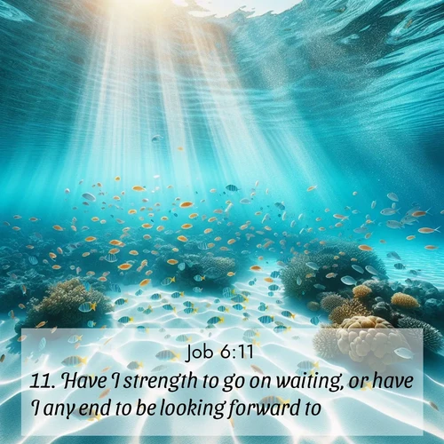 BBE Job 6:11 overlaying nature image scene: Reef fish swirl in perfect formation through crystal waters. Sunlight creates shifting patterns on white sand below.;11. Have I strength to go on waiting, or have I any end to be looking forward to?
