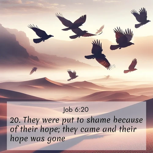 BBE Job 6:20 overlaying nature image scene: Desert ravens soar on thermal currents. Their wings wear shadows like cloaks.;20. They were put to shame because of their hope; they came and their hope was gone.
