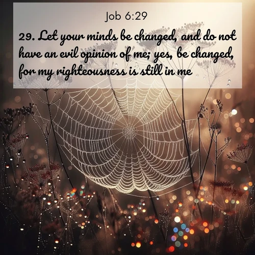 BBE Job 6:29 overlaying nature image scene: Morning fog reveals spider galaxies. Dew drops capture rainbow light.;29. Let your minds be changed, and do not have an evil opinion of me; yes, be changed, for my righteousness is still in me.
