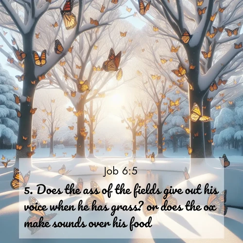 BasicEnglish Job  ; image nature: image with the bible verse :Does the ass of the fields give out his voice when he has grass? or does the ox make sounds over his food? ; Explore an inspiring selection of Bible verse images adorned with nature photos, such as starry skies, verdant hills, and golden beaches. Each image reflects the peace and beauty of God&#039;s creation with vibrant colors and varied fonts. Share uplifting verses like KJV Job 6:5. Current verse is overlayed with the thematic nature scene : Monarch butterflies cover winter trees. Their wings catch light like stained glass. ; 6:5