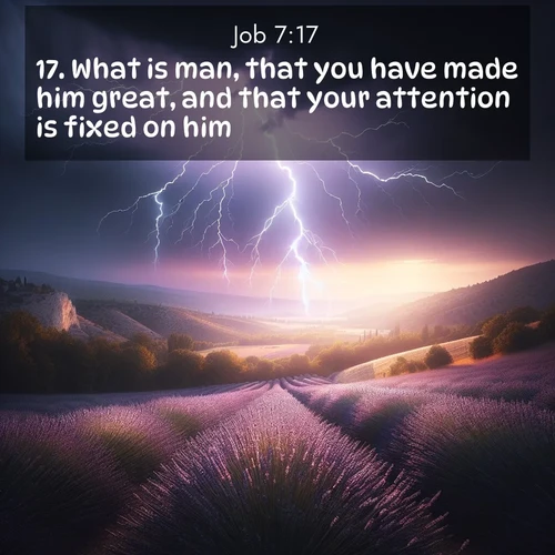 BBE Job 7:17 overlaying nature image scene: Lightning illuminates a field of lavender in the Provence countryside. Thunder rolls across the valley like distant drums.;17. What is man, that you have made him great, and that your attention is fixed on him,