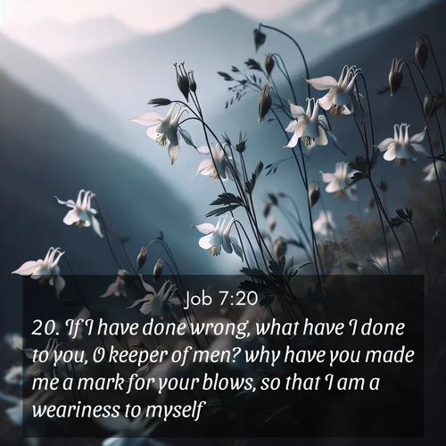 BBE Job 7:20 overlaying nature image scene: Wild columbines dance in breeze. Mountain air carries their perfume.;20. If I have done wrong, what have I done to you, O keeper of men? why have you made me a mark for your blows, so that I am a weariness to myself?