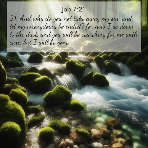 BBE Job 7:21 overlaying nature image scene: A mountain stream tumbles through moss-covered stones. Sunlight dapples the crystal-clear water.;21. And why do you not take away my sin, and let my wrongdoing be ended? for now I go down to the dust, and you will be searching for me with care, but I will be gone.