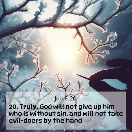 BBE Job 8:20 overlaying nature image scene: Winter sunrise glows through ice-coated branches.;20. Truly, God will not give up him who is without sin, and will not take evil-doers by the hand.