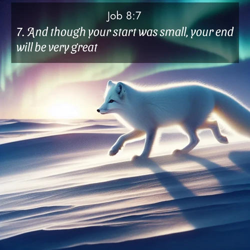 BBE Job 8:7 overlaying nature image scene: An arctic fox hunts across windswept tundra. Northern lights paint its white coat in pastels.;7. And though your start was small, your end will be very great.
