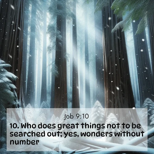 BasicEnglish Job  ; image nature: image with the bible verse :Who does great things not to be searched out; yes, wonders without number. ; Admire our gallery of Bible verse images paired with serene nature photography, featuring starlit skies, golden sands, and blooming wildflowers. Download and share verses like KJV Job 9:10. Current verse is overlayed with the thematic nature scene : Snow falls silently on ancient redwoods. Shafts of light pierce through to illuminate the forest floor. ; 9:10