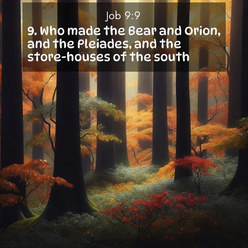 BasicEnglish Job  ; image nature: image with the bible verse :Who made the Bear and Orion, and the Pleiades, and the store-houses of the south: ; Explore a collection of inspiring Bible verse images accompanied by winter photos, such as snowy landscapes, frosted trees, and frozen lakes. These images reflect the peace and purity of God&#039;s creation, with elegant fonts and luminous colors. Download and share verses like KJV Job 9:9. Current verse is overlayed with the thematic nature scene : Autumn rain darkens tree trunks in the forest. ; 9:9