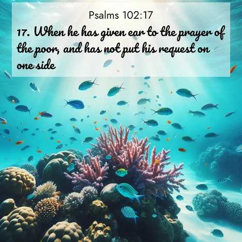 BasicEnglish Psalms  ; image nature: image with the bible verse :When he has given ear to the prayer of the poor, and has not put his request on one side. ; Browse an inspiring gallery of Bible verse images with nature photos, such as blooming gardens, golden deserts, and shaded forests. The chosen images capture the peaceful and joyful essence of God&#039;s creation, with vibrant colors and harmonious fonts. Share verses like KJV Psalms 102:17. Current verse is overlayed with the thematic nature scene : Tropical fish dart through coral reefs in crystal-clear waters. ; 102:17