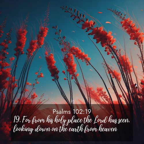 BasicEnglish Psalms  ; image nature: image with the bible verse :For from his holy place the Lord has seen, looking down on the earth from heaven; ; Discover Bible images adorned with spring landscapes, like tulip fields, cherry blossoms, and green hills. These bright scenes symbolize God&#039;s renewal and grace. Download verses like KJV Psalms 102:19. Current verse is overlayed with the thematic nature scene : Desert ocotillo flames against blue sky. Wind sings through its scarlet blooms. ; 102:19