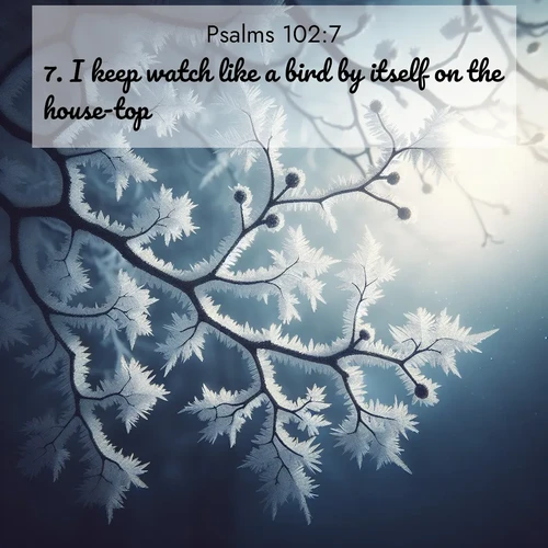 BasicEnglish Psalms  ; image nature: image with the bible verse :I keep watch like a bird by itself on the house-top. ; Admire Bible images representing autumn, with swirling leaves, misty skies, and vibrant trees. These images inspire profound spiritual reflection. Download and share verses like KJV Psalms 102:7. Current verse is overlayed with the thematic nature scene : Winter frost coats bare branches in delicate crystal. ; 102:7