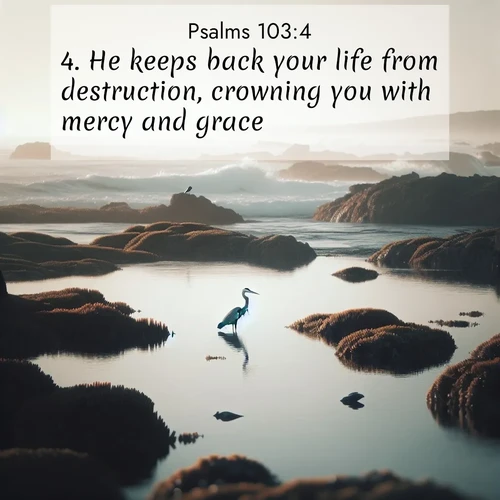 BasicEnglish Psalms  ; image nature: image with the bible verse :He keeps back your life from destruction, crowning you with mercy and grace. ; Explore a collection of inspiring Bible verse images accompanied by winter photos, such as snowy landscapes, frosted trees, and frozen lakes. These images reflect the peace and purity of God&#039;s creation, with elegant fonts and luminous colors. Download and share verses like KJV Psalms 103:4. Current verse is overlayed with the thematic nature scene : A great blue heron fishes in tidal pools. Waves crash on distant reefs. ; 103:4
