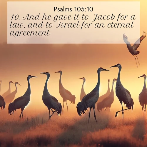 BasicEnglish Psalms  ; image nature: image with the bible verse :And he gave it to Jacob for a law, and to Israel for an eternal agreement; ; Discover a unique collection of Bible verses adorned with winter landscapes, such as snow-covered forests, gently falling snowflakes, and pristine mountains. These images evoke the peace and purity of God&#039;s creation. Share verses like KJV Psalms 105:10. Current verse is overlayed with the thematic nature scene : Sandhill cranes dance in morning mist. Their calls echo across the marsh. ; 105:10