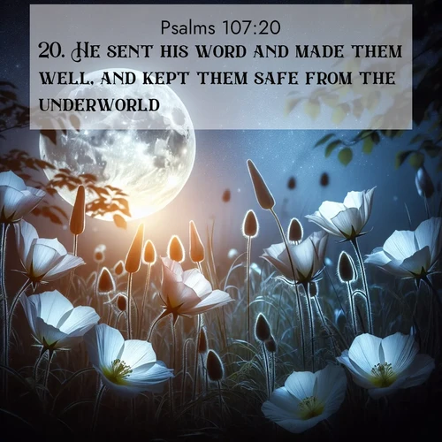 BBE Psalms 107:20 overlaying nature image scene: Moonflowers open to the rising full moon. Night insects hum in harmony.;20. He sent his word and made them well, and kept them safe from the underworld.