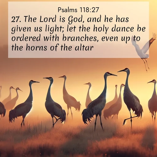 BBE Psalms 118:27 overlaying nature image scene: Sandhill cranes dance in morning mist. Their calls echo across the marsh.;27. The Lord is God, and he has given us light; let the holy dance be ordered with branches, even up to the horns of the altar.