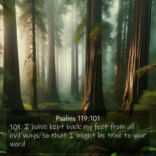 BasicEnglish Psalms  ; image nature: image with the bible verse :I have kept back my feet from all evil ways, so that I might be true to your word. ; Discover our curated gallery of Bible verse images with breathtaking scenery, from tranquil deserts to lush green pastures. Perfect for phone wallpapers or sharing online. Download verses like KJV Psalms 119:101. Current verse is overlayed with the thematic nature scene : Coastal redwoods disappear into the fog high above a fern grove. ; 119:101