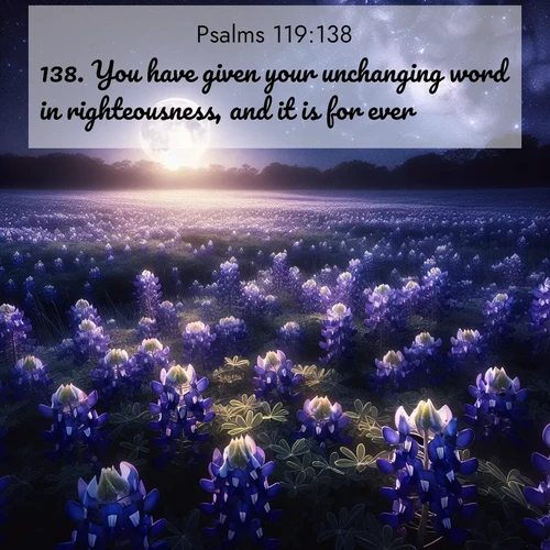 BasicEnglish Psalms  ; image nature: image with the bible verse :You have given your unchanging word in righteousness, and it is for ever. ; Explore a collection of Bible verses paired with springtime scenes, featuring blooming flowers, lush meadows, and trees in full bloom. These images symbolize divine renewal and hope. Download inspiring verses like KJV Psalms 119:138. Current verse is overlayed with the thematic nature scene : Moonlight illuminates a field of bluebonnets. A warm breeze carries their sweet fragrance across the prairie. ; 119:138