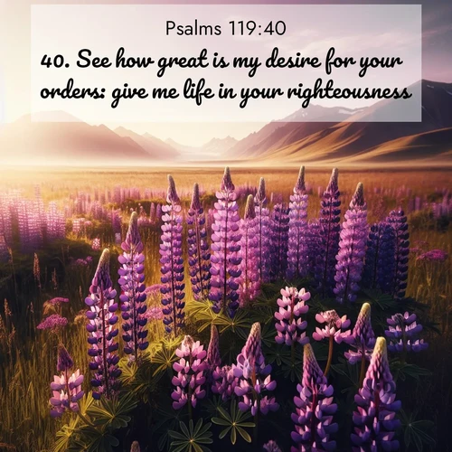 BasicEnglish Psalms  ; image nature: image with the bible verse :See how great is my desire for your orders: give me life in your righteousness. ; Dive into a gallery of Bible verses illustrated by tropical beach scenes, featuring sparkling waves, seashells, and radiant sunrises. These images evoke divine peace and joy. Download and share inspiring verses like KJV Psalms 119:40. Current verse is overlayed with the thematic nature scene : Wild lupines paint purple meadows. Snow lingers on distant peaks. ; 119:40