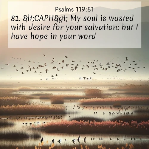 BasicEnglish Psalms  ; image nature: image with the bible verse :&amp;lt;CAPH&amp;gt; My soul is wasted with desire for your salvation: but I have hope in your word. ; Explore a winter collection of Bible verse images adorned with photos of icy landscapes, frozen waterfalls, and snow-covered forests. These scenes capture divine tranquility and purity. Download inspiring verses like KJV Psalms 119:81. Current verse is overlayed with the thematic nature scene : Spring migration fills marshlands with calling birds. ; 119:81
