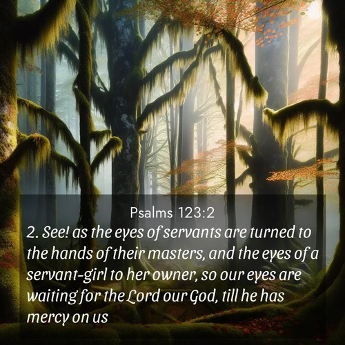 BasicEnglish Psalms  ; image nature: image with the bible verse :See! as the eyes of servants are turned to the hands of their masters, and the eyes of a servant-girl to her owner, so our eyes are waiting for the Lord our God, till he has mercy on us. ; Browse a large collection of Bible verse images with photos showcasing the splendor of nature. Scenes of peaceful rivers, verdant valleys, and radiant skies enhance the inspiring verses. Each image reflects the serenity and joy of God&#039;s creation, with elegant text fonts. Download and share verses such as KJV Psalms 123:2. Current verse is overlayed with the thematic nature scene : Autumn fog shrouds an old-growth forest draped in moss and lichen. ; 123:2