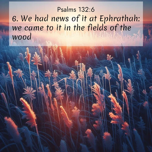 BasicEnglish Psalms  ; image nature: image with the bible verse :We had news of it at Ephrathah: we came to it in the fields of the wood. ; Explore a unique collection of Bible verses illustrated by winter landscapes, such as snowy mountains, frosty forests, and starry skies. These images capture the peace and beauty of winter. Share verses like KJV Psalms 132:6. Current verse is overlayed with the thematic nature scene : Winter sunrise illuminates frost-covered prairie grass. ; 132:6