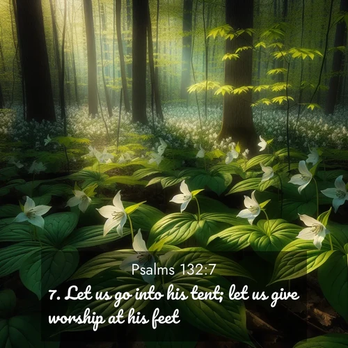 BasicEnglish Psalms  ; image nature: image with the bible verse :Let us go into his tent; let us give worship at his feet. ; Download Bible verse images paired with breathtaking nature photos like golden deserts, shimmering seas, and blossoming orchards. These high-quality, free images are perfect for wallpapers or sharing. Verses include KJV Psalms 132:7. Current verse is overlayed with the thematic nature scene : Wild trillium carpets the forest floor. Sunlight filters green through new spring leaves. ; 132:7