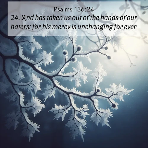 BBE Psalms 136:24 overlaying nature image scene: Winter frost coats bare branches in delicate crystal.;24. And has taken us out of the hands of our haters: for his mercy is unchanging for ever.