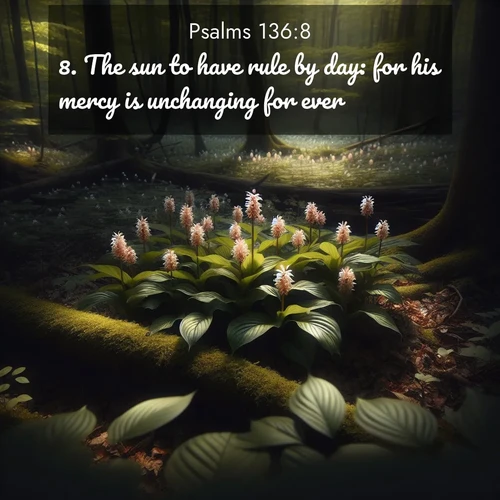 BBE Psalms 136:8 overlaying nature image scene: Wild ginger blooms hidden in forest shadows. Filtered sunlight reveals their secret beauty.;8. The sun to have rule by day: for his mercy is unchanging for ever.