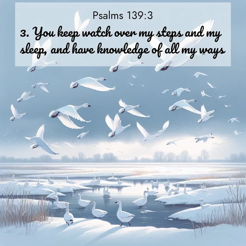 BasicEnglish Psalms  ; image nature: image with the bible verse :You keep watch over my steps and my sleep, and have knowledge of all my ways. ; Admire our gallery of Bible verse images paired with serene nature photography, featuring starlit skies, golden sands, and blooming wildflowers. Download and share verses like KJV Psalms 139:3. Current verse is overlayed with the thematic nature scene : Snow geese take flight from a winter marsh. Their wings flash white against leaden skies. ; 139:3