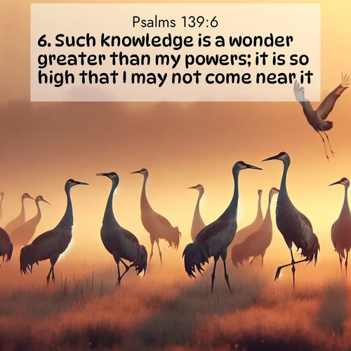 BasicEnglish Psalms  ; image nature: image with the bible verse :Such knowledge is a wonder greater than my powers; it is so high that I may not come near it. ; Discover tranquil Bible verse images enhanced with natural scenery like rippling brooks, snow-covered fields, and sunlit beaches. These free images are perfect for wallpapers or spiritual reflection. Share KJV Psalms 139:6. Current verse is overlayed with the thematic nature scene : Sandhill cranes dance in morning mist. Their calls echo across the marsh. ; 139:6