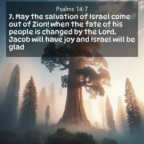BasicEnglish Psalms  ; image nature: image with the bible verse :May the salvation of Israel come out of Zion! when the fate of his people is changed by the Lord, Jacob will have joy and Israel will be glad. ; Browse our library of beautiful Bible verse images, perfect for wallpapers or sharing. Each verse is paired with serene natural landscapes like misty mountains, calming beaches, and colorful sunsets. Download and enjoy verses such as KJV Psalms 14:7. Current verse is overlayed with the thematic nature scene : A giant sequoia reaches through morning fog. Centuries of growth stretch skyward in silent majesty. ; 14:7