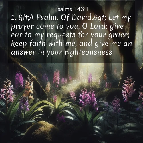 BasicEnglish Psalms  ; image nature: image with the bible verse :&amp;lt;A Psalm. Of David.&amp;gt; Let my prayer come to you, O Lord; give ear to my requests for your grace; keep faith with me, and give me an answer in your righteousness; ; Dive into our collection of Bible verse images beautifully illustrated with beach photos, featuring gentle waves, sunsets over the sea, and sandy shores. These scenes evoke the peace and majesty of God. Download and share inspiring verses like KJV Psalms 143:1. Current verse is overlayed with the thematic nature scene : Wild orchids bloom in forest shade. Filtered light reveals their grace. ; 143:1