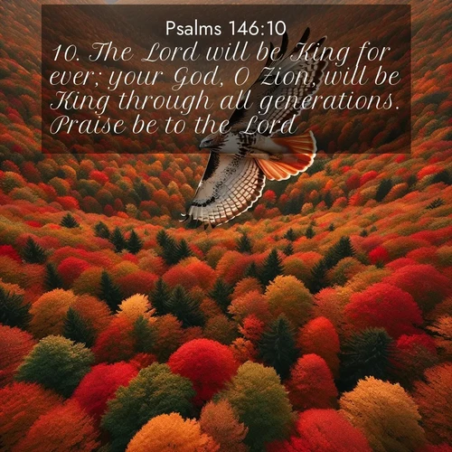 BasicEnglish Psalms  ; image nature: image with the bible verse :The Lord will be King for ever; your God, O Zion, will be King through all generations. Praise be to the Lord. ; Browse beautiful Bible verse images accompanied by peaceful scenes like calm seas, ancient forests, and radiant horizons. Download high-quality, free images featuring verses such as KJV Psalms 146:10. Current verse is overlayed with the thematic nature scene : A red-tailed hawk circles above autumn woods. Leaves below form a mosaic of fire. ; 146:10