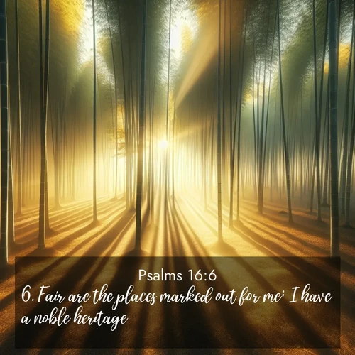 BasicEnglish Psalms  ; image nature: image with the bible verse :Fair are the places marked out for me; I have a noble heritage. ; Admire stunning Bible verse images paired with photos of peaceful landscapes, such as foggy mornings, serene rivers, and blooming gardens. Download these free images and share verses like KJV Psalms 16:6. Current verse is overlayed with the thematic nature scene : Morning mist parts to reveal a pristine bamboo grove. Golden light filters through the stems, casting striped shadows. ; 16:6